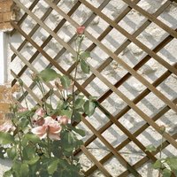 TRELLIWOOD FSC erweiterbares Holzspalier - 1 x 2 m - Braun Nortene von NORTENE