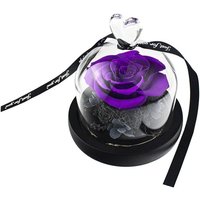 Kleine rose im glasglocke - lila Kleine rose im glasglocke - lila von NORTHIX