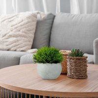 Kunstpflanzen 3er set in grauen betontopfen von NORTHIX