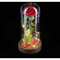Northix - Ewige rose im glas mit kerze 88309523 88309523 88309523 88309523 88309523 von NORTHIX