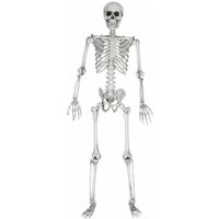 Skelett, lebensgroß - 170 cm von NORTHIX