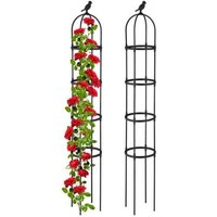 Rankgitter 188 cm 2er-Set von NORTHIX