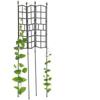 Rankgitter 3er set 124 cm von NORTHIX