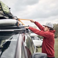 Ratschengurt set 4er pack polyester ladungssicherung Ratschengurt set 4er pack polyester ladungssicherung von NORTHIX