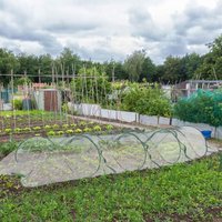 Verstellbarer garten anbautunnel 45 m mit pop up funktion Verstellbarer garten anbautunnel 45 m mit pop up funktion von NORTHIX