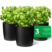 3x Novaliv Kräutertopf 3x Kräutertöpfe von NOVALIV