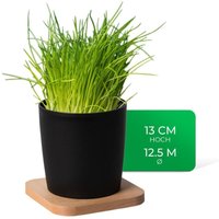 Kräutertopf 1x Holzbrett, 1x Kräutertöpfe - Novaliv von NOVALIV