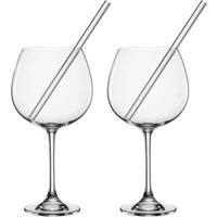 Novel Gin Gläser 2er-Set mit Trinkhalm, Kristallglas von NOVEL