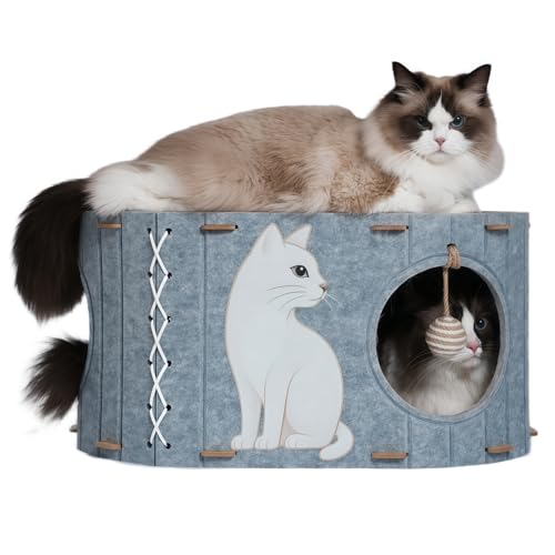 2-in-1 großes Katzenhaus für Indoor-Katzen, Filz-Katzenhöhle mit Kissen, zwei Eingängen & Sisalballspielzeug, geschlossenes Bett für große Katzen oder Multi-Katzen-Nutzung, unterstützt 40 Pfund von NOVGOBHOT