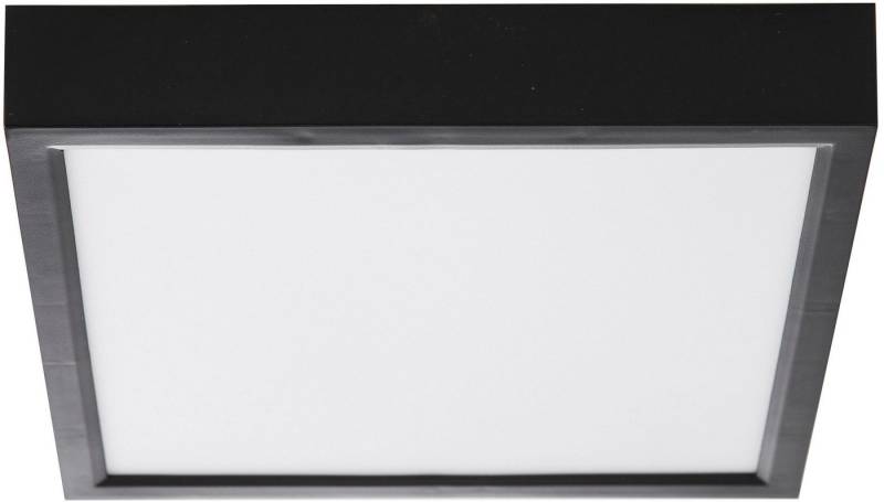 NOWA Deckenleuchte PUCCY, LED fest integriert, Warmweiß, Deckenlampe Wohnzimmer-Leuchte Schlafzimmer-Leuchte Flur Küche von NOWA