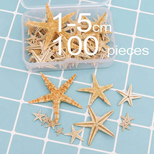 NOWON Natürliche Seestern Muschel Strand Handwerk natürliche Seesterne DIY Strand Dekor von NOWON