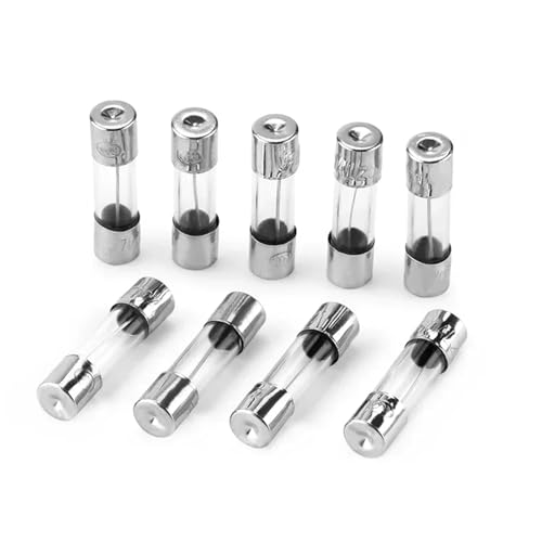 100 Stücke 5 * 20mm Glassicherung Schnelle Sicherung 250 V 0.1A 0.2A 0.5A 1A 2A 3A 3.15A 4A 5A 6A 6.3A 7A 8A 10A 12A 15A 20A 25A 30A Flink(1A,GOLD_6 30MM) von NOZLIHMH