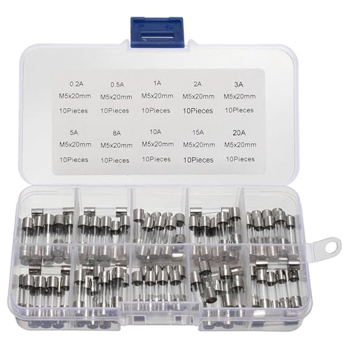 100Pcs Glas Rohr Sicherung Assorted Kit 0,2 A-20A Schnelle-schlag Rohr 250V Sortiment Pack mit von NOZLIHMH