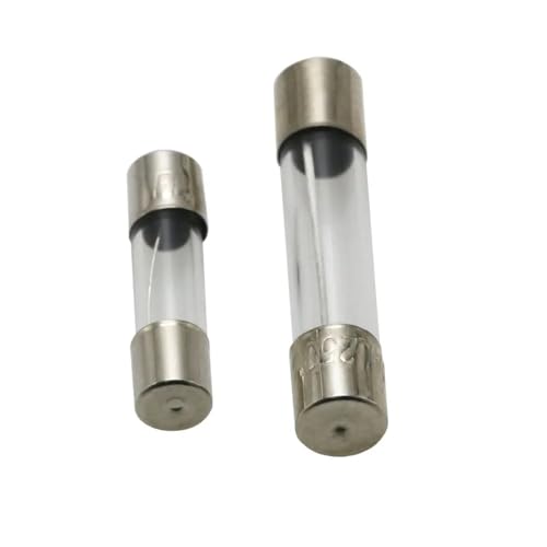 5 * 20mm 6 * 30mm Flinke Glasrohrsicherungen 5x20 6x30 250V 0,1 0,5 1 2 3 3,15 4 5 6 7 8 10 12 15 20 25 30A(5A,10PCS 6x30mm) von NOZLIHMH