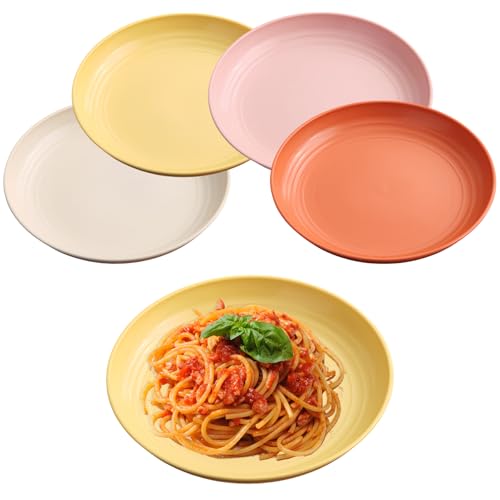 NOZVYCI 4 Stück 20cm/8inch Speiseteller, Unzerbrechlicher Picknickteller-Set Campingteller Mikrowellen-und Spülmaschinenfest Familienteller für Salat Pasta Zuhause Party (Helle Farbe) von NOZVYCI