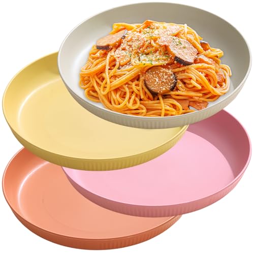 NOZVYCI 4 Stück 23CM Speiseteller, Unzerbrechlicher Picknickteller-Set Campingteller Mikrowellen-und Spülmaschinenfest Familienteller für Salat Pasta Zuhause Party (Helle Farbe) von NOZVYCI