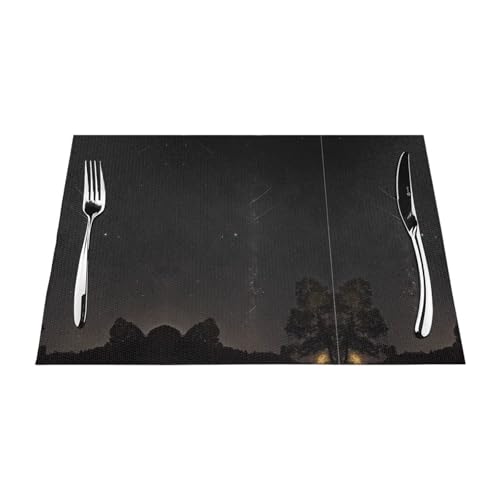 Gewebtes Tischset, strapazierfähig, hitzebeständig, für Esstisch, Küche und Außenbereich, elegantes Design, leicht zu reinigen, PVC-Polyester-Matte von NPOREJKNGF