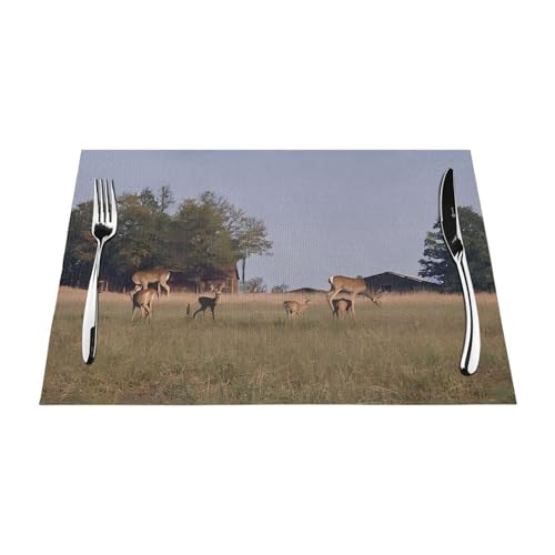 Gewebtes Tischset mit Bauernhof-Motiv, langlebig, hitzebeständig, Tischmatte für Esstisch, Küche und Außenbereich, elegantes Design, leicht zu reinigen, PVC-Polyester-Matte Gewebtes Tischset mit Bauernhof-Motiv, langlebig, hitzebeständig, Tischmatte für Esstisch, Küche und Außenbereich, elegantes Design, leicht zu reinigen, PVC-Polyester-Matte von NPOREJKNGF