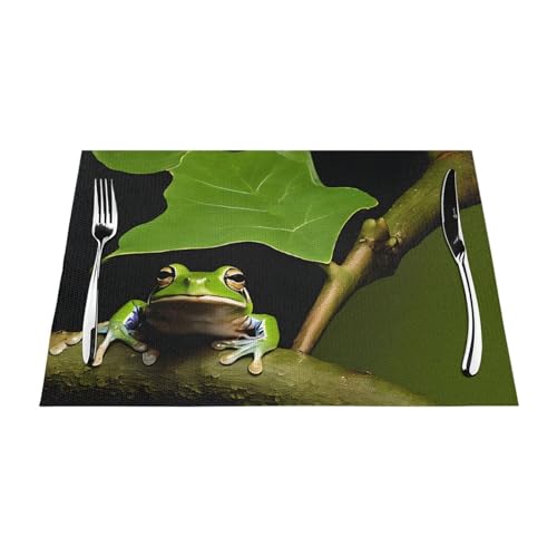 Gewebtes Tischset mit Frosch- und Regendruck, langlebig, hitzebeständig, Tischmatte für Esstisch, Küche und Außenbereich, elegantes Design, leicht zu reinigen, PVC-Polyester-Matte von NPOREJKNGF