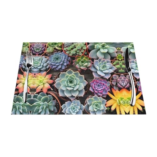 Gewebtes Tischset mit buntem Sukkulenten-Druck, langlebig, hitzebeständig, Tischmatte für Esstisch, Küche und Außenbereich, elegantes Design, leicht zu reinigen, PVC-Polyester-Matte von NPOREJKNGF