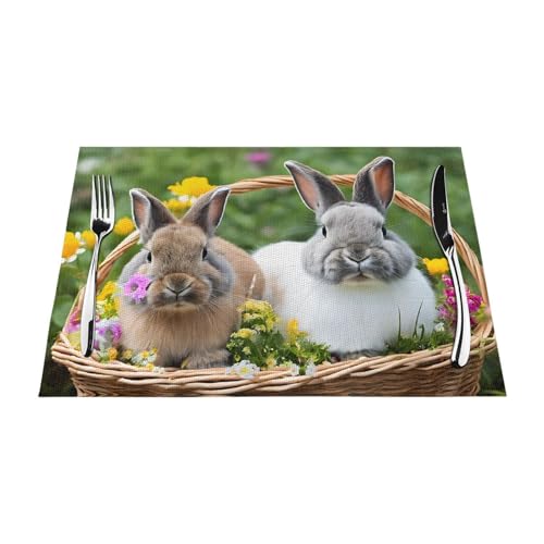Gewebtes Tischset mit niedlichem Hasen-Druck, langlebig, hitzebeständig, Tischmatte für Esstisch, Küche und Außenbereich, elegantes Design, leicht zu reinigen, PVC-Polyester-Matte Gewebtes Tischset mit niedlichem Hasen-Druck, langlebig, hitzebeständig, Tischmatte für Esstisch, Küche und Außenbereich, elegantes Design, leicht zu reinigen, PVC-Polyester-Matte von NPOREJKNGF