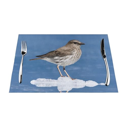 Gewebtes Tischset mit niedlichem Pinguin-Druck, langlebig, hitzebeständig, Tischmatte für Esstisch, Küche und Außenbereich, elegantes Design, leicht zu reinigen, PVC-Polyester-Matte von NPOREJKNGF