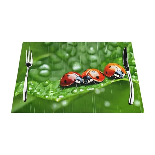 Lustiges gewebtes Tischset mit Marienkäfer-Druck, langlebig, hitzebeständig, Tischmatte für Esstisch, Küche und Außenbereich, elegantes Design, leicht zu reinigen, PVC-Polyester-Matte von NPOREJKNGF