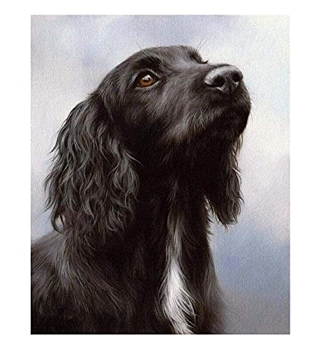 NPRZM 5D-Diamant-Malset für Erwachsene, englischer Cocker-Spaniel, Malen nach Zahlen, runde Strasssteine, Bastelleinwand für die Wanddekoration zu Hause, 40 x 50 cm NPRZM 5D-Diamant-Malset für Erwachsene, englischer Cocker-Spaniel, Malen nach Zahlen, runde Strasssteine, Bastelleinwand für die Wanddekoration zu Hause, 40 x 50 cm von NPRZM