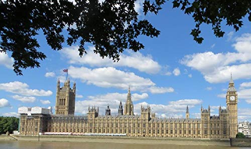 NPRZM Landschaft des Buckingham Palace, Großbritannien, DIY 5D-Diamantmalerei nach Zahlen, einzigartige Kits, Wanddekoration mit Kristall-Strasssteinen, 50 x 50 cm NPRZM Landschaft des Buckingham Palace, Großbritannien, DIY 5D-Diamantmalerei nach Zahlen, einzigartige Kits, Wanddekoration mit Kristall-Strasssteinen, 50 x 50 cm von NPRZM