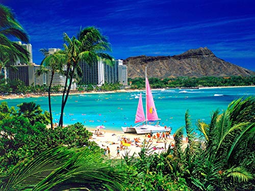 NPRZM Waikiki Oahu Hawaii DIY 5D Diamant Malerei nach Zahlen einzigartige Kits Home Wanddekoration Kristall Strass Wanddekoration 40x50CM NPRZM Waikiki Oahu Hawaii DIY 5D Diamant Malerei nach Zahlen einzigartige Kits Home Wanddekoration Kristall Strass Wanddekoration 40x50CM von NPRZM