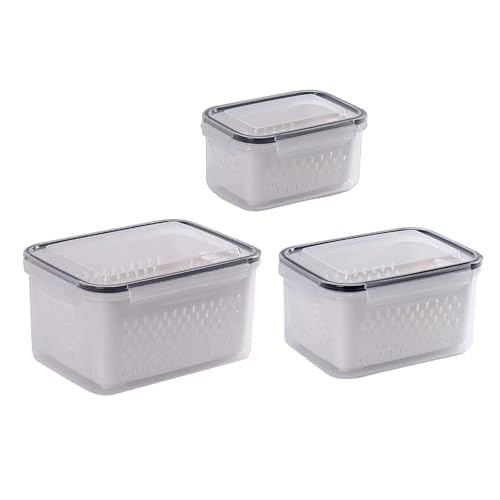 Großer Kühlschranklager Behälter Obst Und Organisatoren Mit Colanders Practical Food Preservation Inhaber Großer Kühlschranklager Behälter Obst Und Organisatoren Mit Colanders Practical Food Preservation Inhaber von NPXUAMTJ