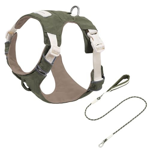 Multi Use Haustierkabelbaum Und Leads Set Mit Weichem Polsterreflektierende Design Für Kleine Bis Große Rassen Freien Aktivität Hunde Walking Ausrüstung Multi Use Haustierkabelbaum Und Leads Set Mit Weichem Polsterreflektierende Design Für Kleine Bis Große Rassen Freien Aktivität Hunde Walking Ausrüstung von NPXUAMTJ