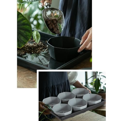 NPXUAMTJ 6 Zellpflanztöpfe Tablett Mit 6 Zoll Töpfen Pflanzen Shuttle Tablett Mit Atmungsaktivem Und Wasserspeicher Für Zuhause von NPXUAMTJ