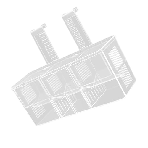 NPXUAMTJ Babyfisch Brutbox Klarer Isolationsbox Aquarium Brüche Inkubator Mit Haken Für Neugeborene Garnelen Isolierte Laiche Mit Saugnäpfeln von NPXUAMTJ