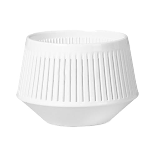NPXUAMTJ Geschlitzte Atmungsaktive Pflanzenbehälter Desktop Ornament Pflanzentöpfe Handwerk von NPXUAMTJ