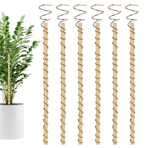 6 Stück Elektrokultur Pflanzenstäbe, Kupfer Gartenantenne Kupferdrahtantenne für Pflanzen Elektrokultur Garten Kupferspulenantenne für Hof Garten Pflanzen Gemüse von NQEUEPN