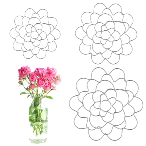 3 Stück Blumenfrosch Deckel, Blumenfrosch-Edelstahldeckel Metall Blumeneinsatzdeckel Blumenarrangementhalter Blumen-Organizer für Pflanzenfixierung Vase Basteln (3 Größen) von NQEUEPN