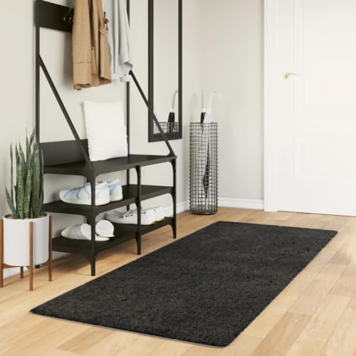 NQJIBUE Artikel - Shaggy Teppich PAMPLONA Hochflor Modern Anthrazit 80x200 cm Dekor Teppiche von NQJIBUE
