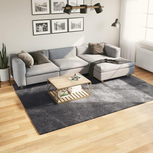 NQJIBUE Artikelteppich HUARTE Kurzflor weich und waschbar Anthrazit 200x280 cm Dekor Teppiche von NQJIBUE