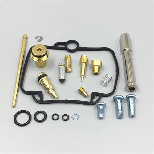 NRTNRFQW Motorrad Vergaser Carb Rebuild Kit YFM 600 YFM600F Grizzly 600 1998-2001 von NRTNRFQW