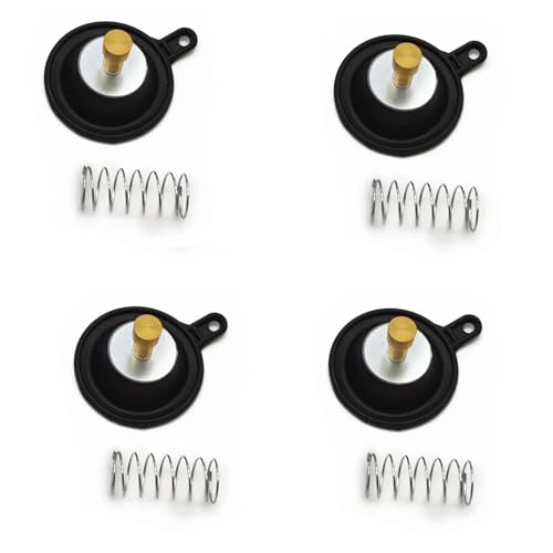 NRTNRFQW YFM250 YFM350 YFM400 XVZ1300 TDM850 XVZ1200 XVS650 Vmax 1200 VMX1200 TTR225 XT225 Vergaser Luftabsperrventil Kit(003) von NRTNRFQW