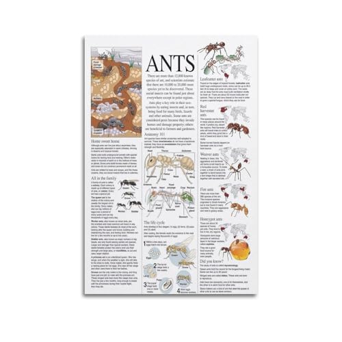 NSNAL Ameisen Biologie Poster Wanddekoration Leinwand Kunst Poster Moderne Deko Poster Schlafzimmer Poster 12x18inch(30x45cm) von NSNAL