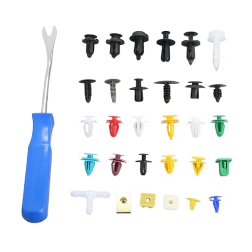 NSNGPAFACZ 500PCS Mixed Auto Fastener Clip for Entfernung Hebeln Bar Werkzeug Universal Tür Panel Stoßstange Kotflügel Kunststoff Push-Pin nieten Befestigungselemente und Clips für die Automobilin von NSNGPAFACZ