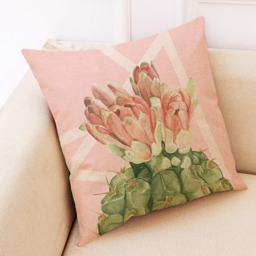 Herbstdeko, Kissenbezüge, grüne Pflanze, rosa Outdoor-Kissen, quadratische Sofakissen, Gartenkissen, Outdoor-Kissenbezüge, Schlafzimmer, Büro, Auto, dekorative, 40 cm x(Red Cactus Flower,50 x 50 cm) Herbstdeko, Kissenbezüge, grüne Pflanze, rosa Outdoor-Kissen, quadratische Sofakissen, Gartenkissen, Outdoor-Kissenbezüge, Schlafzimmer, Büro, Auto, dekorative, 40 cm x(Red Cactus Flower,50 x 50 cm) von NSNYDNZ