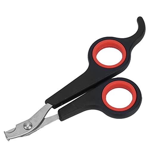 NSXAYIWE Pet Stainless Steel Nail Clipper, Dog Nail Trimmers,Kitten Nail Clipper Safety Guard to Avoid Over Cutting Toe Nails for Dog Cat Rabbit Small Animals NSXAYIWE Pet Stainless Steel Nail Clipper, Dog Nail Trimmers,Kitten Nail Clipper Safety Guard to Avoid Over Cutting Toe Nails for Dog Cat Rabbit Small Animals von NSXAYIWE