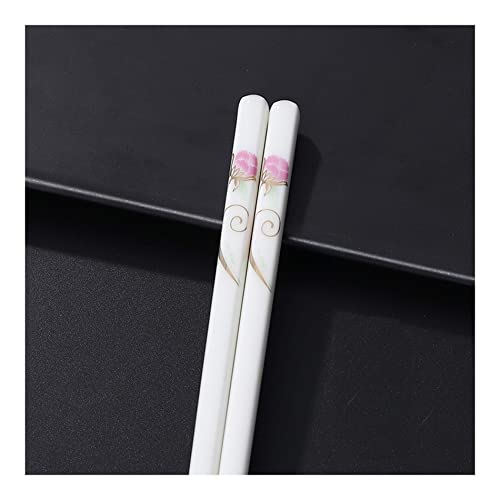 Essstäbchen aus Porzellan im japanischen Stil, wiederverwendbar, spülmaschinenfest, hochwertige Knochenstäbchen, toller Ersatz für Bambus-/Holz-Essstäbchen, 24,9 cm, 5 Paar Essstäbchen aus Porzellan im japanischen Stil, wiederverwendbar, spülmaschinenfest, hochwertige Knochenstäbchen, toller Ersatz für Bambus-/Holz-Essstäbchen, 24,9 cm, 5 Paar von NTCE