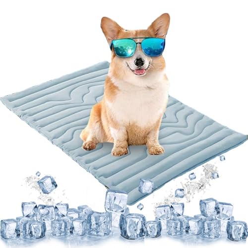 NTDMSFWM Kühlmatte for Hunde – Selbstkühlendes Pad for Hunde und Katzen, doppelseitige Eisseide, waschbare Sommer-Kühlmatte for Haustiere for Kiste, Bett, Sofa, Reisegebrauch(Blauw,48x28in) von NTDMSFWM