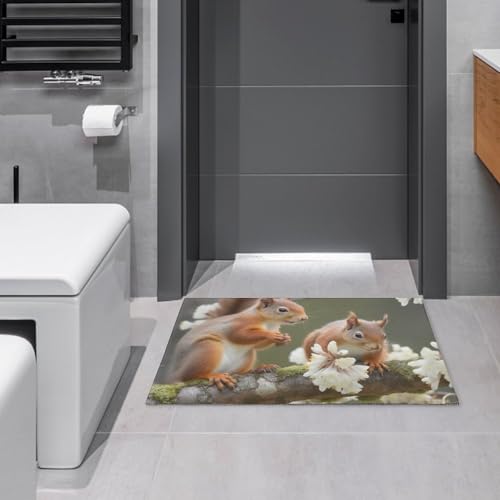 Fußmatte für drinnen und draußen, rutschfeste Bodenmatte, Eichhörnchen, Fußmatte für Eingangsbereich, Veranda, Waschküche, Badezimmer, Schlafzimmer, Teppich, 60 x 40 cm von NTVOWPZO