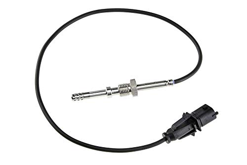 Abgastemperatursensor von NTY