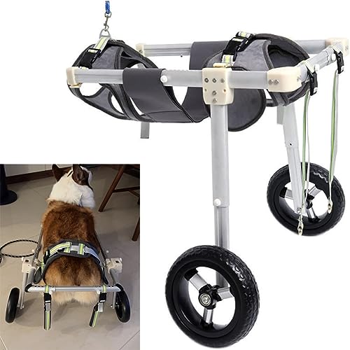 NUACOS Verstellbarer 2 Räder Hunderollstuhl, Hunderollstuhl Hinterbeine, Tragbar Pet Rollwagen für Haustier Cat Hunde Verletzt Hinterbeine Rehabilitation von 5~60 kg,M von NUACOS